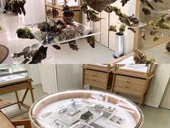 -the WAREHOUSE optic(三里屯分店)