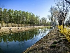 -东郊湿地公园