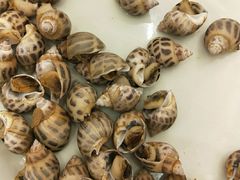 -旺顺阁海鲜广场(亚运村店)