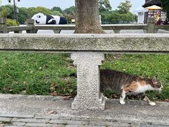 -苏州太湖国家湿地公园