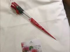 -张掖华辰国际大酒店