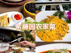 -紫藤园·天目湖大鱼头(南山竹海店)