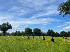 -长白岛森林公园