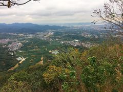 -龙坞茶村