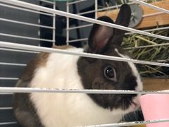 -UltraForce超源健身私教工作室(长楹天街精品店)