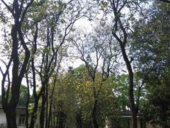 -广东外语外贸大学(白云山校区)