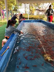 -萌宠亲子动物乐园(槐房万达店)