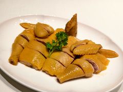 -侨美食家·41年地道粤菜(珠江新城店)