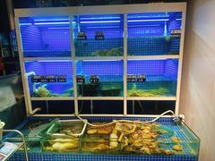 -金龙·打边炉(南京西路店)