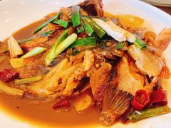 -魚當家