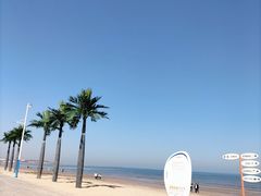 -长兴岛海滨公园
