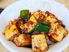 -陈麻婆豆腐总店