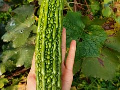 -水库活鱼馆(于桥水库店)