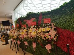 -HELLO MUSAE 拾光缪斯餐厅·纯正希腊风味(苏州中心店)
