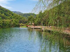 -桃花岭景区