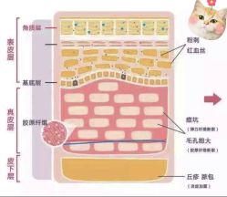 -维秘形体医美 M·VVON医生集团