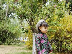 -长白岛森林公园