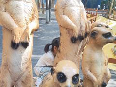 -北京野生动物园