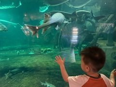 -华夏文旅西安度假区