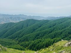 -苏木山森林公园