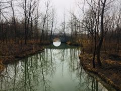 -溱湖国家湿地公园