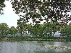 -金银湖国家城市湿地公园