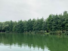 -滨湖塘西河公园