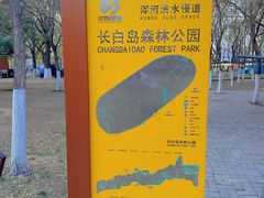 -长白岛森林公园