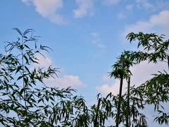 -远山有窑