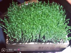 -渝味晓宇火锅(合川路店)