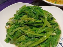 清炒油麦菜-95号酱骨·一块豆腐(展春园西路店)