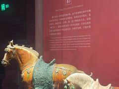 -陕西历史博物馆