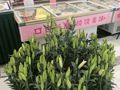 -金华安大酒楼·老牌潮菜·粤式茶点(东方国际店)