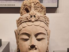 -四川大学博物馆