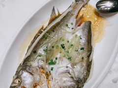 -京粤荟(海王银河科技大厦店)