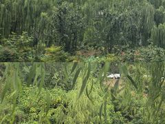 -咸阳湖景区