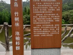 -滴水岩森林公园