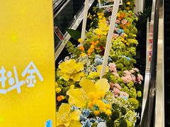-凯德MALL(望京店)