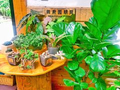 店内环境-有光花园