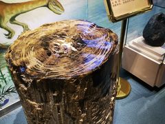 -陕西自然博物馆