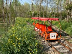 -合肥滨湖国家森林公园