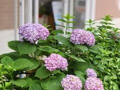 -Beans Solo豆号咖啡(百家湖花园店)