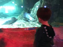 -华夏文旅海洋公园