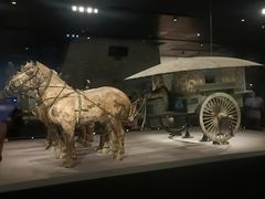 -秦始皇帝陵博物院-丽山园