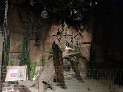 -zoonana室内动物园(东方福来德店)