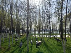 -艾溪湖湿地公园