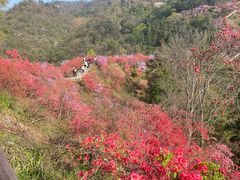 -岳西天峡风景区