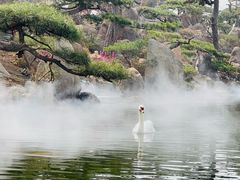 -罗红摄影艺术馆