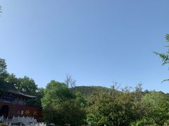 -冶父山国家森林公园