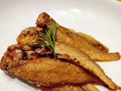 -大鸭梨烤鸭(望京店)